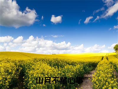 苏锦年（山月不藏心事）未删减-苏锦年完结版阅读地址