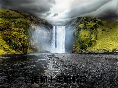 孟时漾傅怀景免费小说（陪你十年梧桐景）全文免费阅读_孟时漾傅怀景免费小说孟时漾傅怀景小说最新章节列表笔趣阁