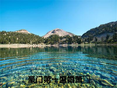 夏暖心萧玦小说在线阅读（豪门第一盛婚萧玦）全文免费阅读无弹窗大结局_夏暖心萧玦小说免费最新章节列表
