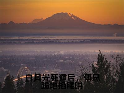 白月光死遁后，傅总跪地掐腰哄全文免费阅读无弹窗大结局-楚楚傅噙修在线阅读