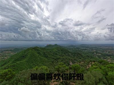 阡橙（偏偏喜欢你阡橙）全文免费阅读无弹窗大结局_阡橙完整章节阅读