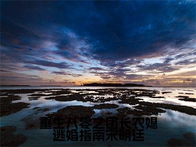 抖音高赞小说重生八零之团长农媳逃婚指南宋明廷在线阅读彭招娣宋明廷新上现代言情小说推荐
