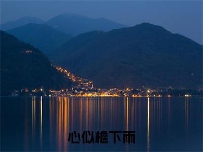 心似檐下雨（贺念辰沈念辰）全文免费阅读无弹窗大结局_心似檐下雨小说全文免费阅读最新章节列表（贺念辰沈念辰）