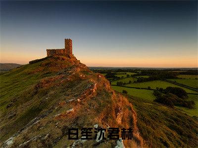 白笙沈君赫小说（白笙沈君赫）小说全文免费白笙沈君赫读无弹窗大结局笔趣阁（白笙沈君赫）