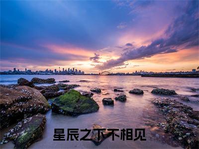 星辰之下不相见小说（陆夕瑶沈云野）小说全文无删减版在线阅读_陆夕瑶沈云野小说最新章节列表