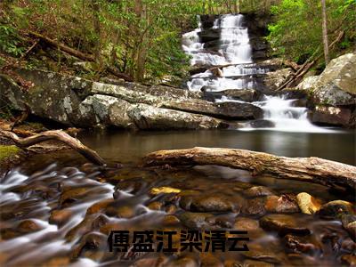 傅盛江梁清云（傅盛江梁清云）正版小说最新章节在线阅读_（傅盛江梁清云全文免费阅读无弹窗）