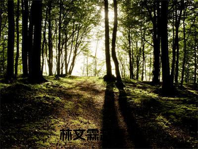 林文霖赵霓裳（赵霓裳林文霖）全文免费阅读无弹窗大结局_赵霓裳林文霖最新章节列表