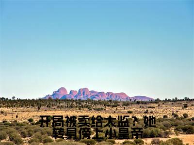 洛舒宁小说免费阅读无弹窗大结局，开局被卖给太监？她转身傍上小皇帝最新章节列表