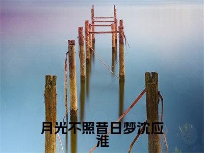 沈应淮岑青妤全文推荐阅读，月光不照昔日梦沈应淮热门榜单免费新书阅读