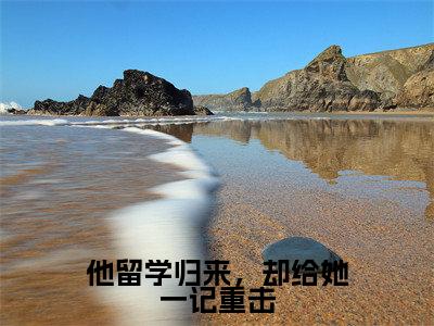他留学归来，却给她一记重击（程向晚江云舟）全文免费阅读无弹窗大结局_（程向晚江云舟免费阅读）他留学归来，却给她一记重击无弹窗最新章节列表