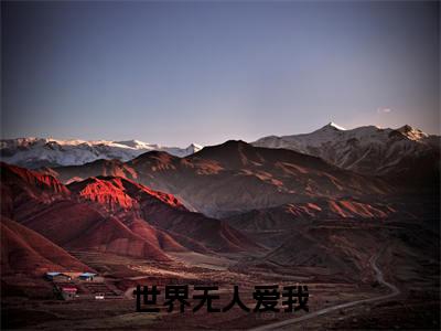 沈初禾蒋锦年在哪免费看沈初禾蒋锦年结局是什么（世界无人爱我）小说无弹窗免费阅读