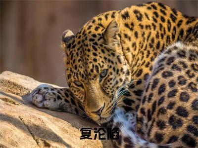 后续+全集傅行简林冉（完整版）热文小说阅读-傅行简林冉全文抖音热推