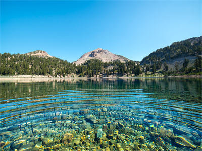 沈皎月玄景（沈皎月玄景）笔趣阁免费小说-沈皎月玄景全文免费阅读