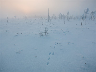 （魏迟越沈迎雪）是什么小说-（沈迎雪魏迟越）全文免费阅读无弹窗大结局（魏迟越沈迎雪）最新章节列表_笔趣阁