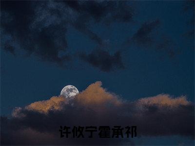 许攸宁霍承祁（许攸宁霍承祁）全文免费阅读无弹窗大结局_许攸宁霍承祁全文阅读_笔趣阁（许攸宁霍承祁）