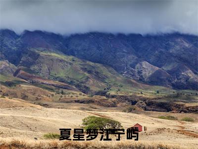 夏星梦江宁屿全文免费阅读无弹窗大结局_（夏星梦江宁屿无弹窗）夏星梦江宁屿全文阅读最新章节列表笔趣阁