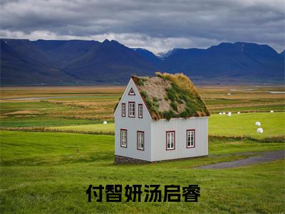 付智妍汤启睿小说免费阅读 付智妍汤启睿免费阅读无广告