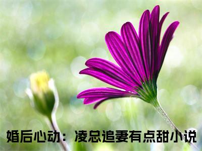 婚后心动：凌总追妻有点甜（苏熙凌久泽）在线阅读小说全文无删减-苏熙凌久泽小说大结局