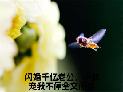 （闪婚千亿老公，小叔宠我不停）傅时霆楚婳小说全文免费_（闪婚千亿老公，小叔宠我不停）最新章节列表笔趣阁