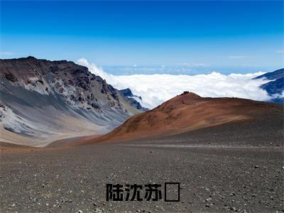 《陆沈苏琓小说》在线阅读-陆沈苏琓免费完整版在线阅读