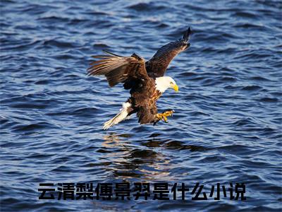 云清梨傅景羿在线阅读（云清梨傅景羿）全文免费阅读无弹窗大结局_云清梨傅景羿免费最新章节列表_笔趣阁