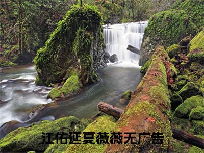 江佑延夏薇薇(江佑延夏薇薇)全文免费阅读无弹窗大结局_江佑延夏薇薇说免费阅读最新章节列表_笔趣阁（江佑延夏薇薇）