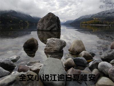 江逾白夏唯安的小说全文免费阅读,小说名字是：江逾白夏唯安的小说全资源免费阅读结局无删节