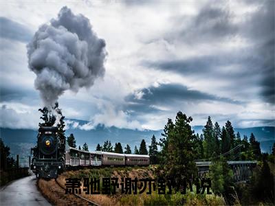 萧驰野谢亦舒（萧驰野谢亦舒）小说最后结局-（萧驰野谢亦舒）完结版免费阅读