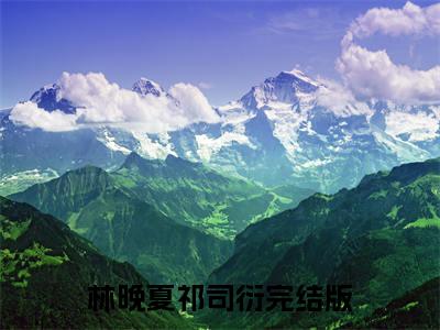 林晚夏祁司衍小说在线阅读-小说（林晚夏祁司衍）免费观看