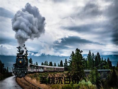 快手热推姜桃沈白衍（姜桃沈白衍）最新小说大结局-小说全文免费在线赏析