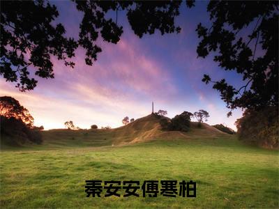 老书虫良心推荐最新小说（秦安安傅寒柏）主角秦安安傅寒柏全文全章节免费阅读