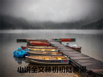 林初初陆景深（林初初陆景深）全文免费阅读无弹窗_林初初陆景深最新小说_笔趣阁（林初初陆景深）