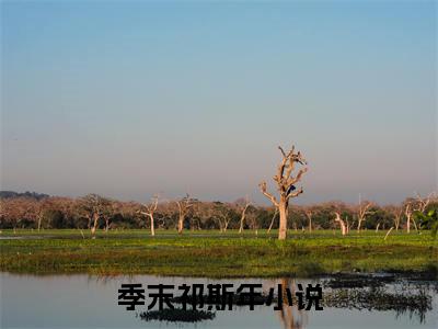 季末祁斯年（季末祁斯年）最新章节免费阅读全文-季末祁斯年完结小说在线阅读