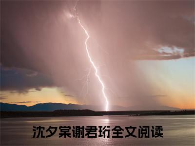 沈夕棠谢君珩新书热荐免费小说-沈夕棠谢君珩小说大结局