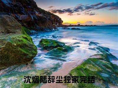 沈烟陆辞尘（沈烟陆辞尘）全文阅读-2023最火热点小说沈烟陆辞尘最新更新