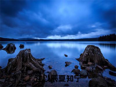 江以辰夏知宁（江以辰夏知宁）精选知乎免费小说_（江以辰夏知宁）最新章节免费阅读