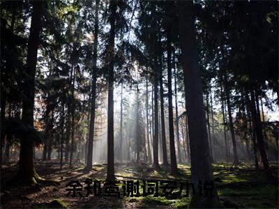 小说完整版阅读-余知鸢谢词安美文欣赏