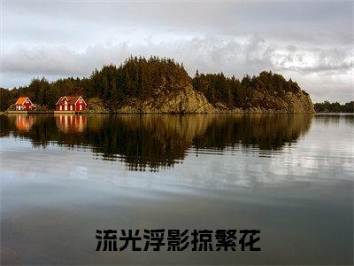 戚迟冰司空庭小说最新章节-流光浮影掠繁花全文免费阅读无弹窗大结局