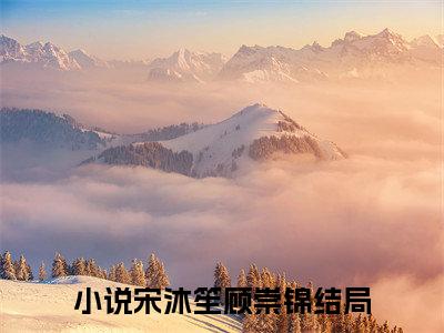 宋沐笙顾崇锦（宋沐笙顾崇锦）全文免费阅读无弹窗大结局_(宋沐笙顾崇锦小说免费阅读)最新章节_笔趣阁（宋沐笙顾崇锦）