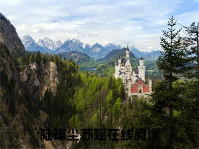 陆瑾尘苏瑶全文赏析完整版阅读-陆瑾尘苏瑶小说最新章节免费阅读