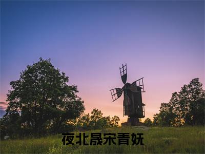 夜北晟宋青妩（夜北晟宋青妩）全文免费阅读最新章节_夜北晟宋青妩大结局精彩阅读_笔趣阁