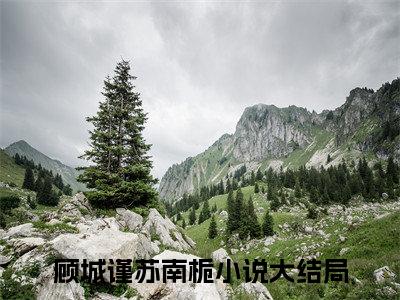 顾城谨苏南栀（顾城谨苏南栀）全文免费阅读无弹窗大结局-顾城谨苏南栀免费阅读全文大结局-笔趣阁