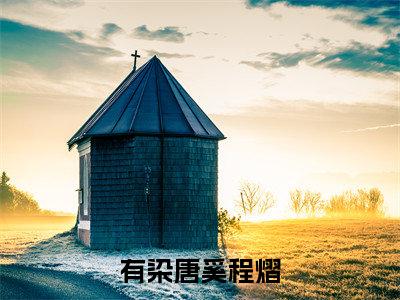 有染全文免费阅读（唐奚程熠小说）全文免费阅读无弹窗大结局_（有染全文免费阅读无弹窗）唐奚程熠小说最新章节列表_笔趣阁（有染）