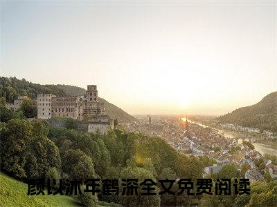 颜以沐年鹤深（颜以沐年鹤深）全文免费阅读无弹窗大结局