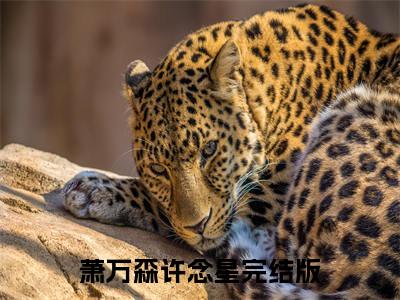 小叔珍重，这一生不能再陪你走下去了（萧万森许念星）全文免费阅读无弹窗大结局_小叔珍重，这一生不能再陪你走下去了（萧万森许念星）全文阅读_笔趣阁（小叔珍重，这一生不能再陪你走下去了）