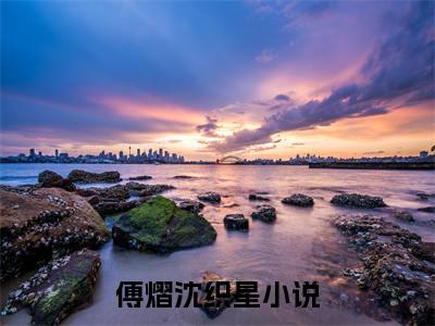 傅熠沈织星全文（傅熠沈织星）完整版小说阅读_傅熠沈织星全本列表免费笔趣阁（傅熠沈织星）