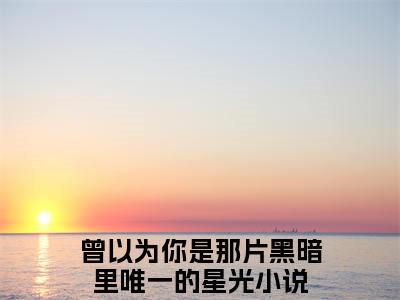 榜单小说曾以为你是那片黑暗里唯一的星光全文免费阅读无弹窗大结局-苏韫祝霆深全文在线阅读