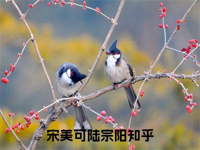 宋美可陆宗阳免费小说（宋美可陆宗阳）全文免费阅读无弹窗大结局_宋美可陆宗阳免费小说最新章节列表_笔趣阁(宋美可陆宗阳免费小说）