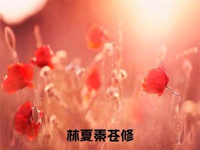 林夏秦苍修小说免费阅读（林夏秦苍修）全文免费阅读无弹窗大结局_林夏秦苍修小说免费阅读最新章节列表_笔趣阁（林夏秦苍修）