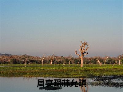 周宴琛林允琪(周宴琛林允琪)全文无弹窗大结局_周宴琛林允琪在线阅读无弹窗最新章节列表_笔趣阁